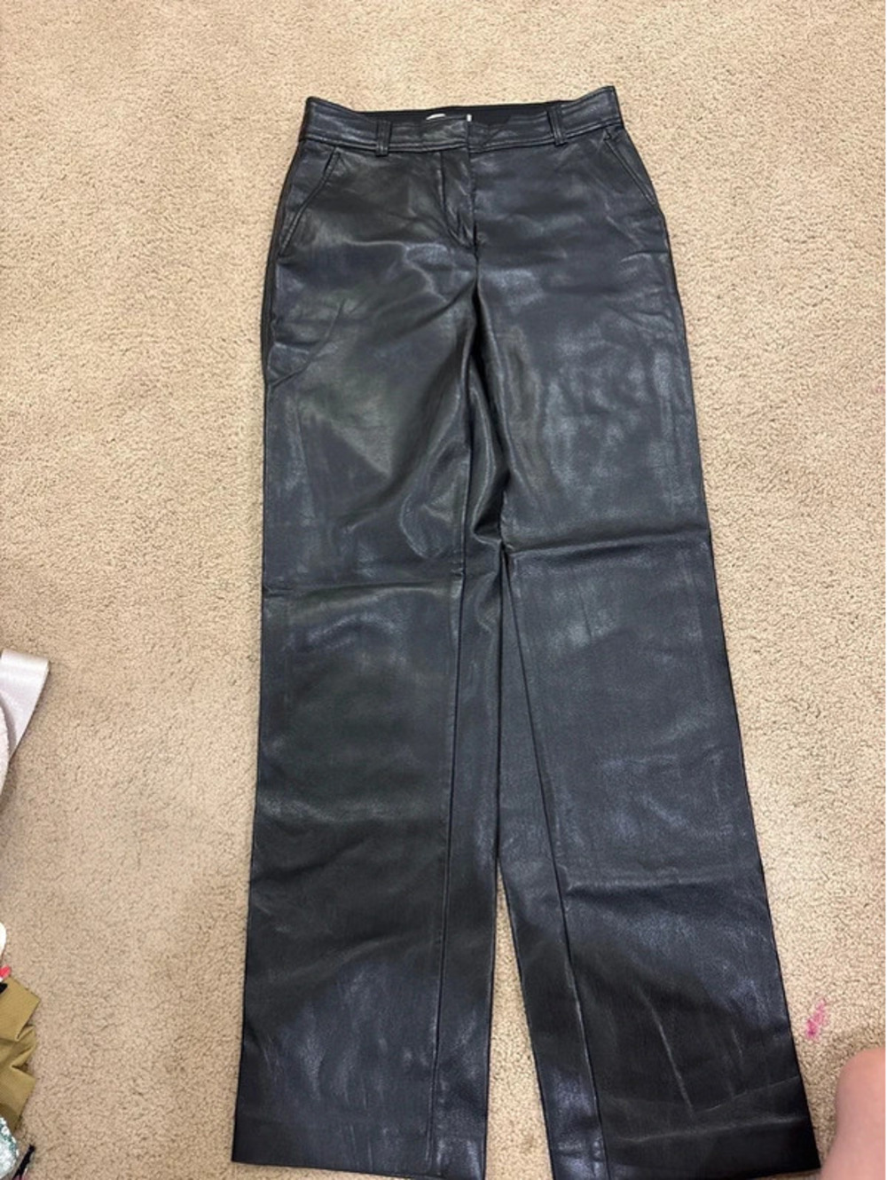 babaton leather pants